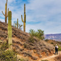The Ultimate Guide to Outdoor Events in Maricopa County, AZ