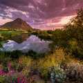 The Ultimate Guide to Discovering the Vibrant Events in Maricopa County, AZ