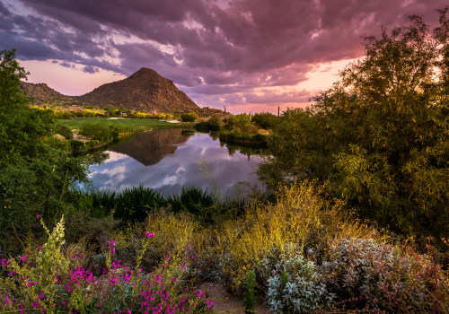 The Ultimate Guide to Discovering the Vibrant Events in Maricopa County, AZ